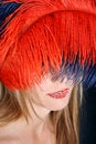 Free Female Model With Feathers Stock Photos - 7050463