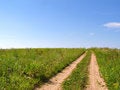 Free Aging Rural Road Royalty Free Stock Image - 7051876