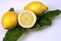 Free Citrus Royalty Free Stock Photography - 7056457