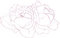 Free Rose Lineart Royalty Free Stock Photos - 7050948