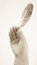 Free Holding Leaf Isolated Royalty Free Stock Photography - 7059167