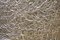 Free Foil Background Royalty Free Stock Photos - 7059848