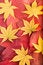 Free Autumn Background From Red And Yellow Leaves Royalty Free Stock Images - 7060679