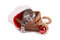 Free Kitten Plays On A White Background Royalty Free Stock Photos - 7067128