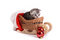 Free Kitten Plays On A White Background Royalty Free Stock Images - 7067129