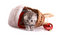 Free Kitten Plays On A White Background Stock Photos - 7067133