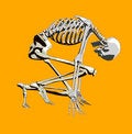 Free Bone 142 Royalty Free Stock Photography - 711917