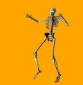 Free Bone 144 Royalty Free Stock Images - 711919