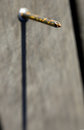 Free Rusty Nail Stock Photography - 719312