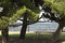 Free Picnic Table Stock Photography - 716322