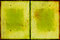 Free Grungy Scratched Paper Stock Photography - 7120982
