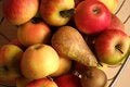 Free Fruits Stock Image - 725691