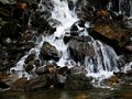 Free Waterfall Reflection Royalty Free Stock Photo - 727075