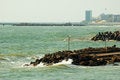 Free Black Sea Jetty And Resort In The Morning Stock Photo - 732180