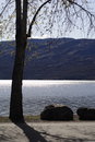 Free Sun-kissed Lake Royalty Free Stock Image - 732796