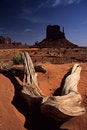 Free East Mitten Butte Of Monument Valley Stock Photography - 733322