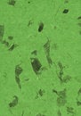Free Green Leafs Paper, Natural, Texture, Abstract, Stock Photo - 735090