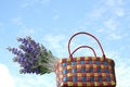 Free Lavender In The Basket & Blue Sky Royalty Free Stock Photography - 736287