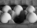 Free Five Eggs In Soft, Dim Light Royalty Free Stock Image - 739966