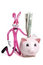 Free Savings Piggy Bank Stock Photo - 732750