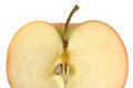 Free Apple Cross-section Stock Image - 7346391