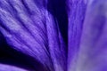 Free Abstract Background - Petal Stock Photography - 745632