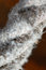 Free Rope Detail Stock Image - 742281