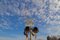 Free Railroad Crossing Stock Photos - 748053