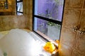 Free Bathroom With Jacuzzi Royalty Free Stock Photos - 7429698