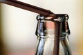 Free Bottle Neck With Strow Royalty Free Stock Photography - 7473747
