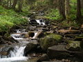 Free Stream In Forest Royalty Free Stock Image - 7492566