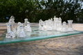 Free Chess Game In The Garden Stock Photography - 751122