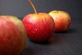 Free The Three Wet Apples Stock Images - 752004