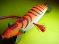 Free Squid Lure Stock Photos - 752063
