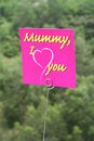 Free I Love Mom Message Stock Photos - 752293