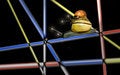 Free Two Snails On Top Of Each Other Stock Photography - 753382