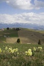 Free Spring Mountain Landscape Stock Photos - 762883