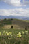 Free Spring Mountain Landscape Stock Photos - 762883