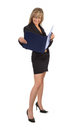 Free Blond Secretary Stock Photos - 7669793