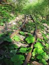 Free Railway Royalty Free Stock Photography - 771977