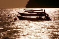 Free Fisherman1 Royalty Free Stock Image - 773696