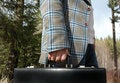 Free Businessman Holding A Briefcase Stock Photography - 776762