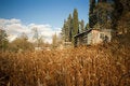Free The Hut Royalty Free Stock Photo - 7702595