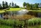 Free Golf Course Pond Royalty Free Stock Photo - 7708235