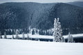 Free Winter Landscape Royalty Free Stock Photography - 7716067