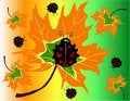 Free Leaves And Ladybugs Stock Images - 7716924
