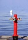 Free Sea Marine Hydrant In Mediterranean Sea Royalty Free Stock Photography - 7725857
