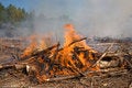 Free Flames And Smoke From A Prescribed Fire Burn Stock Photography - 7730662