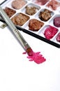 Free Makeup Accessory Royalty Free Stock Photography - 7731097