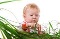Free Interest To The Leaves Of Plant Royalty Free Stock Photos - 7734168